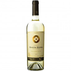 Вино Torres Santa Digna Sauvignon Blanc белое сухое 0,75л